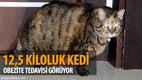 A­n­t­a­l­y­a­­d­a­ ­1­2­,­5­ ­k­i­l­o­l­u­k­ ­k­e­d­i­ ­o­b­e­z­i­t­e­ ­t­e­d­a­v­i­s­i­ ­g­ö­r­ü­y­o­r­